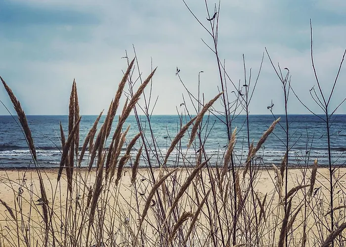 Апартаменты Blisko Plazy Apartb Nr8 Сопот